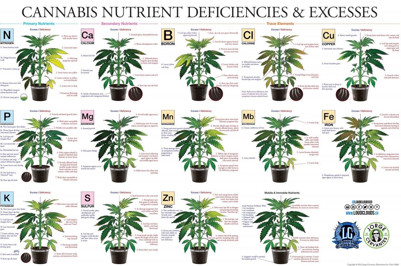 Weed deficiencies