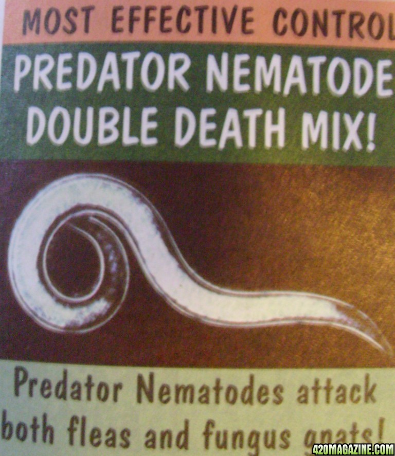 Predator Nematodes - Double Death Mix