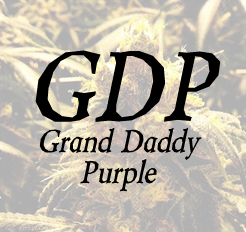 GDP_Logo.png