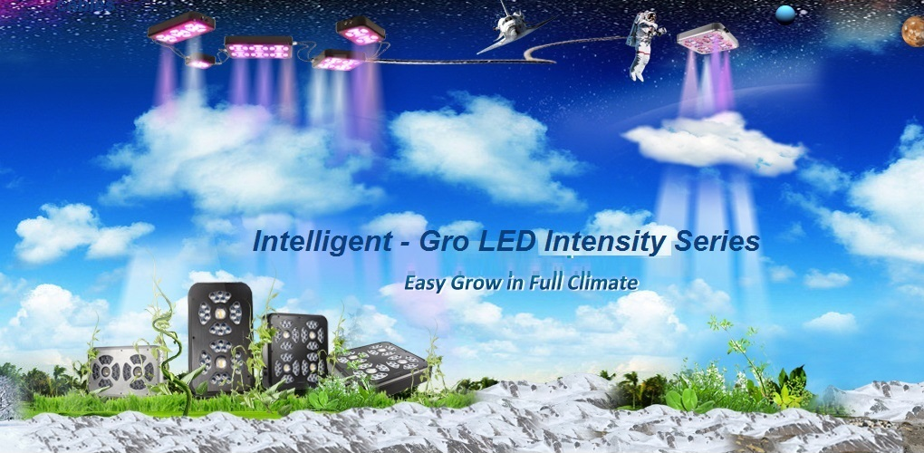 Inteligent-Gro_LED_Intensity_Series.png