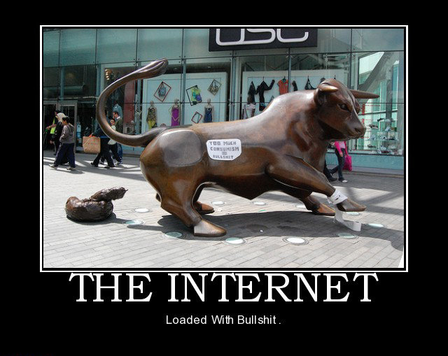 Internet_Loaded_With_Bullshit_fnl.jpg
