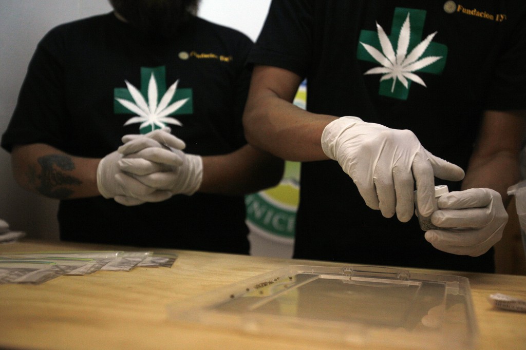 Легализации в вашингтоне марихуаны tor browser crfxfnm hydraruzxpnew4af