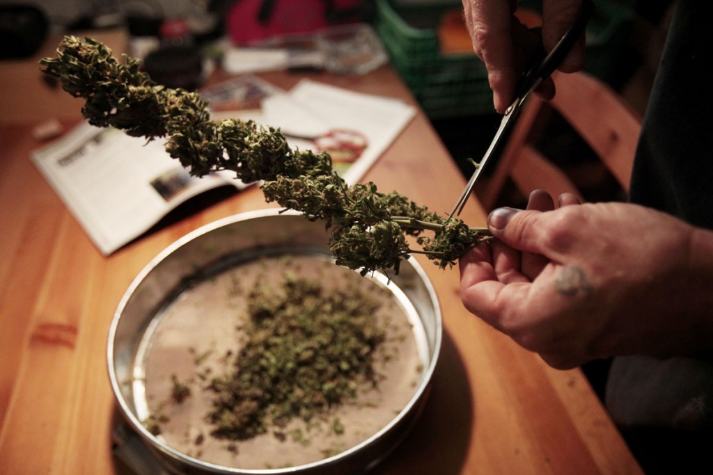 Как приготовить наркотик из конопли иван кайф марихуана текст