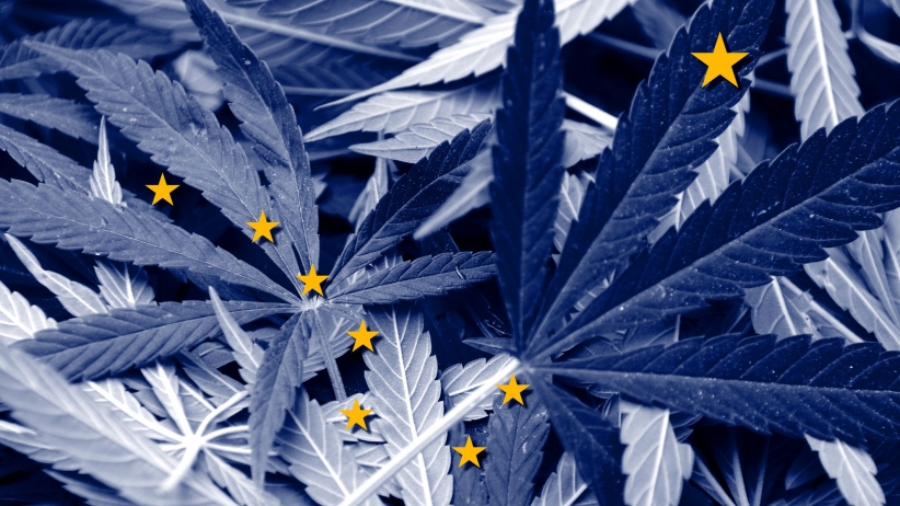 Alaska_Cannabis_Flag_-_Getty_Images.jpg