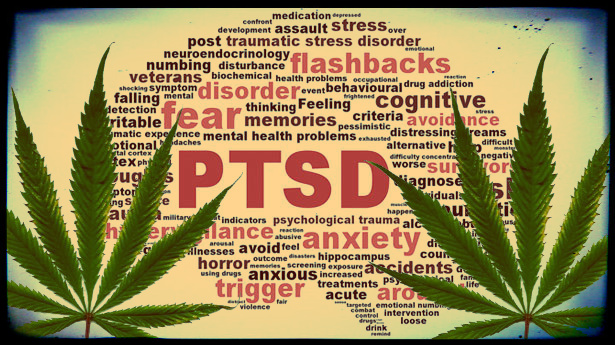 Arizona-PTSD-Marijuana.jpeg
