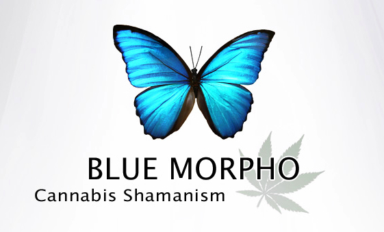 Blue_Morpho_Logo.jpg