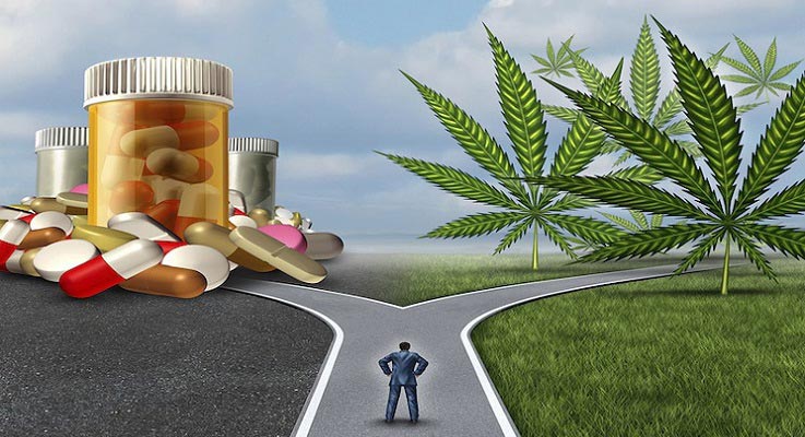 Cannabis-vs-Pharma.jpg