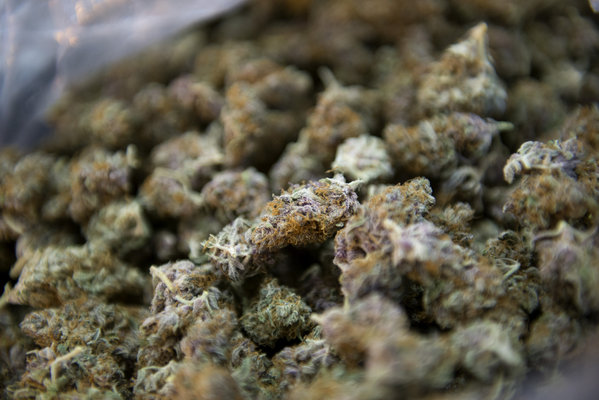 Cannabis8.jpg
