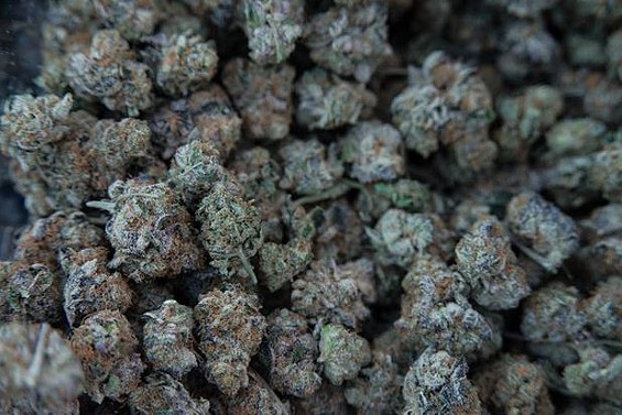 Cannabis_Buds1.jpeg