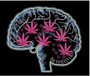 Cannabis_Can_Save_Your_Brain.jpeg
