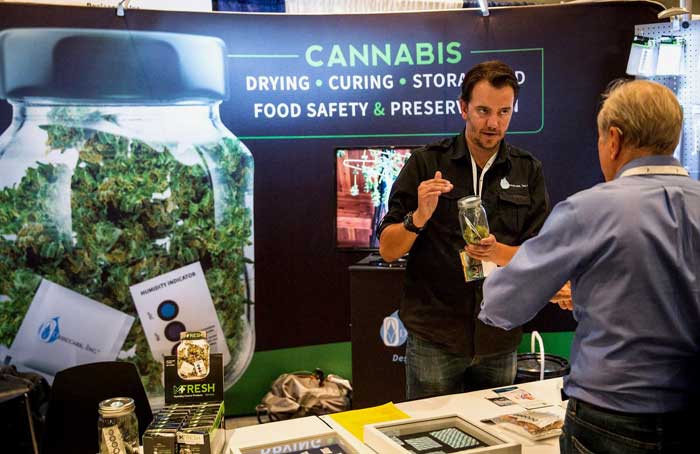 Cannabis_Convention_-_Andrew_Burton.jpg