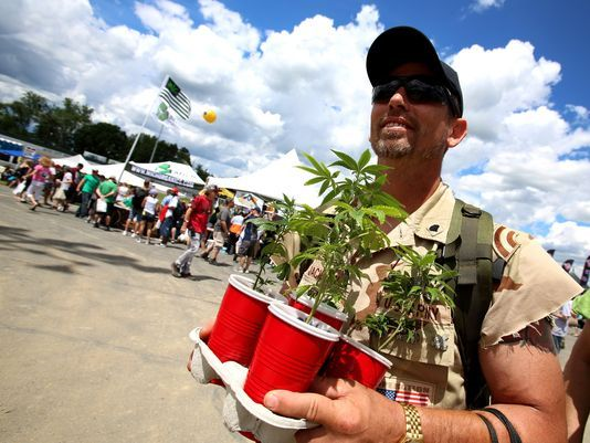 Cannabis_Cup_in_MI_-_Eric_Seals.png