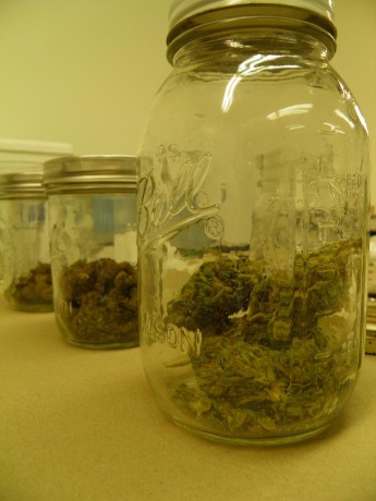 Cannabis_In_Jars4.jpg
