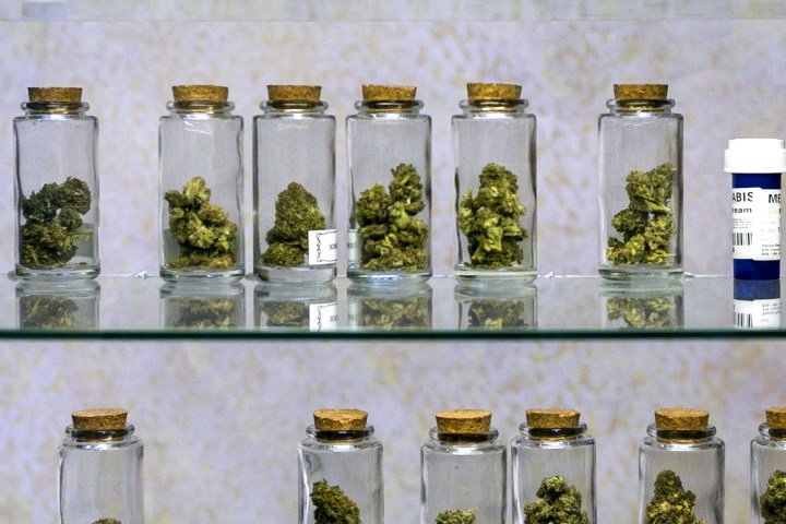 Cannabis_Jars3.jpg