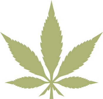 Cannabis_Leaf29.jpg
