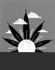 Cannabis_Leaf_Sun.jpg