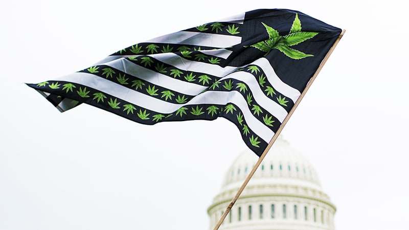 Cannabis_and_the_Capital_-_Bill_Clark.jpg