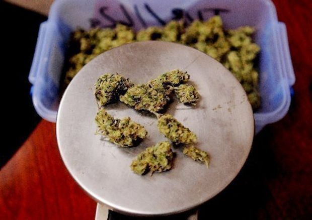 Cannabis_on_Scale.jpg
