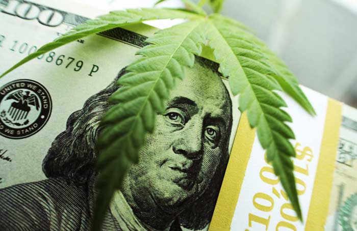 Cash_and_Cannabis3_-_Shutterstock.jpg