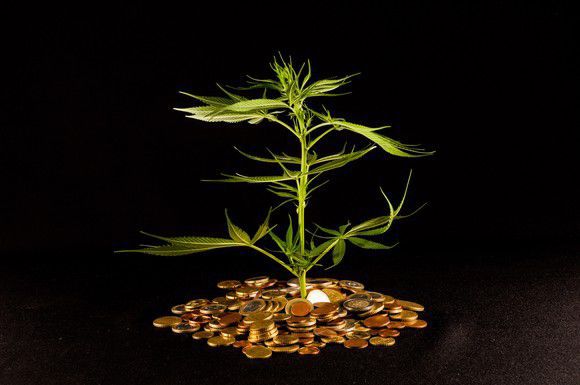 Coins_and_Cannabis_-_GETTY_IMAGES.jpg