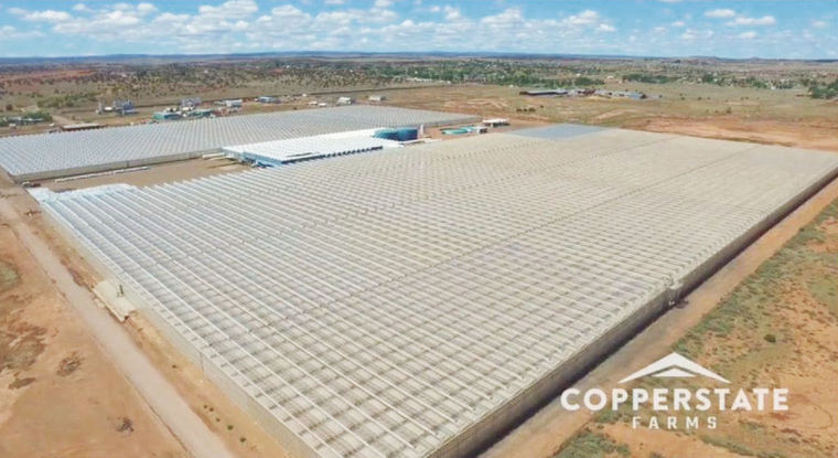 Copperstate_Farms.jpg