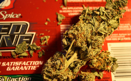 Cured_Cannabis.jpg