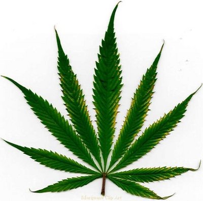 Dems_say_medical_marijuana_resolution_not_up_in_smoke_1_1331086915.jpg