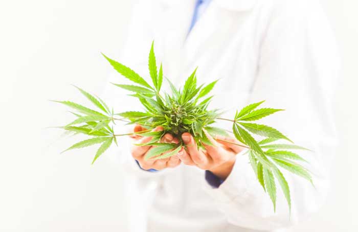 Doctor_and_Medical_Marijuana_-_Shutterstock.jpg