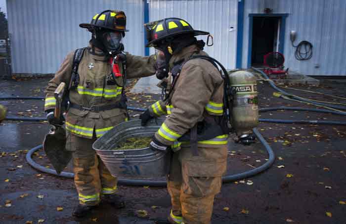 Firemen_Saving_Cannabis_-_Chris_Pietsch.jpg