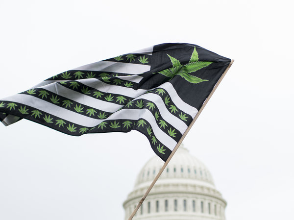 Flag_Cannabis_-_Getty_Images.jpg