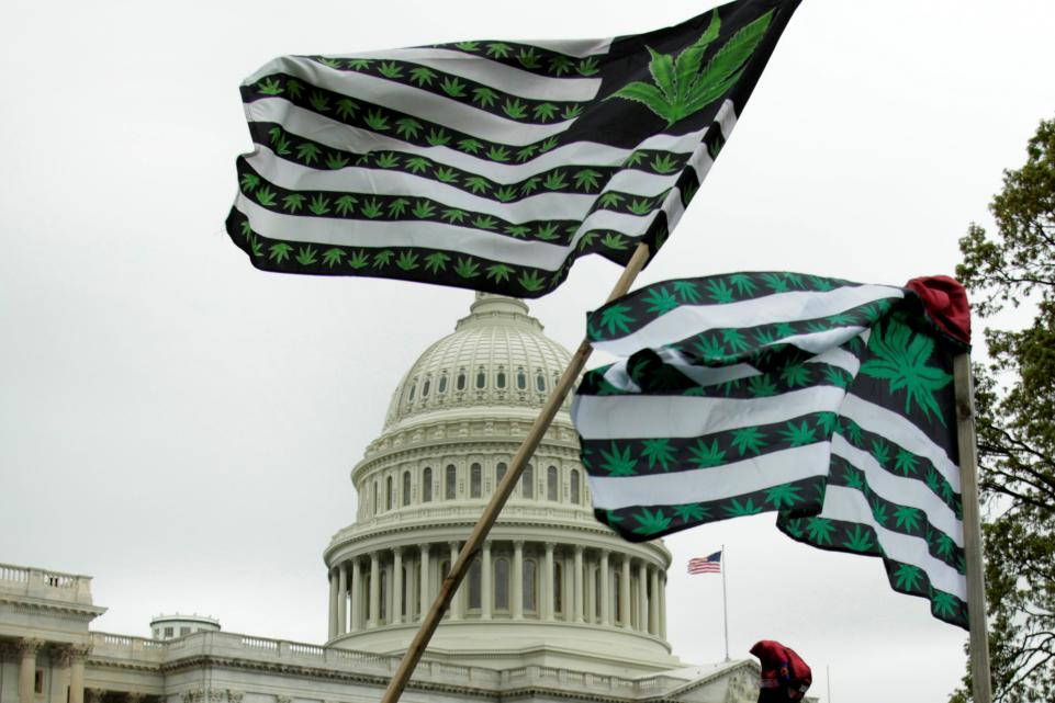 Flags_Cannabis_-_Reuters.png