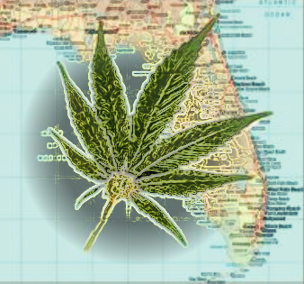 Florida_Marijuana.jpg