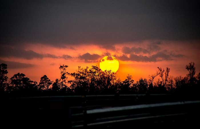 Florida_Sunset_-_Flickr.jpg