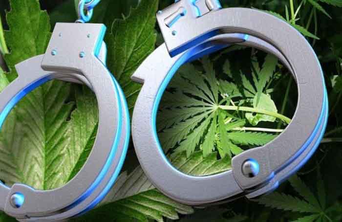Handcuffs_and_Marijuana_-_GrayTVinc.jpg