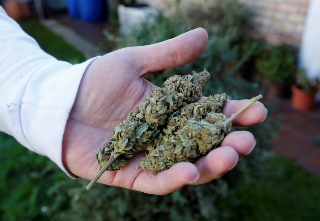 Handful_of_Buds_-_REUTERS.png