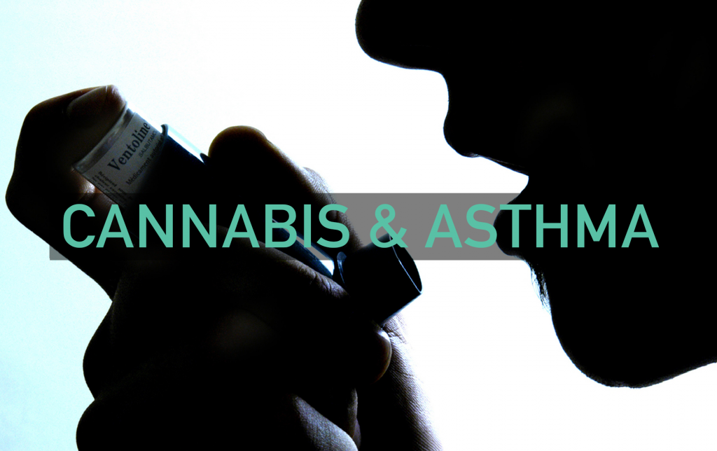 How-Cannabis-Treats-Asthma-1.png