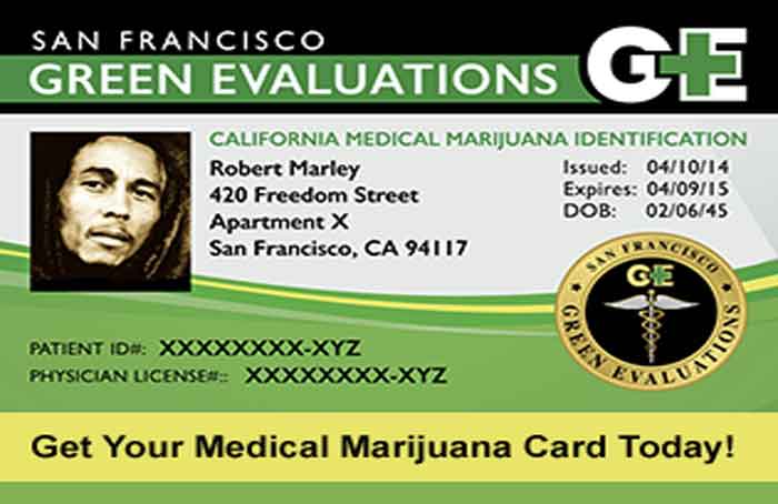 Identification_Card_-_Cannabis_Reports.jpg