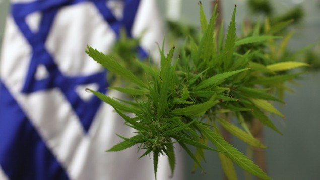 Israel_Flag_Cannabis.jpg