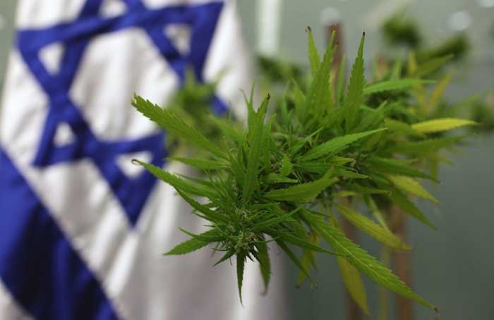 Israeli_Cannabis_-_Kobi_Gideon.jpg