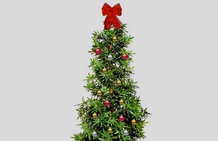 Marijuana_Christmas_Tree_-_Walmart.jpg
