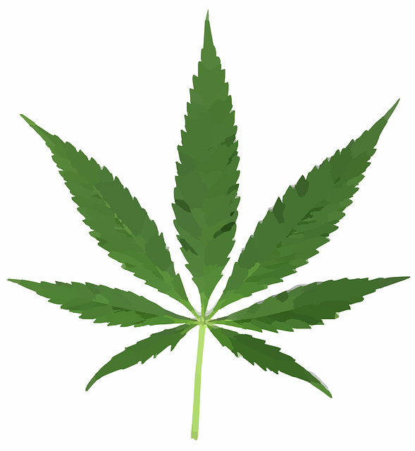 Marijuana_Leaf_Flag.png