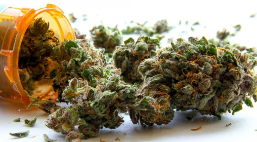 Medical-Marijuana-520.jpg