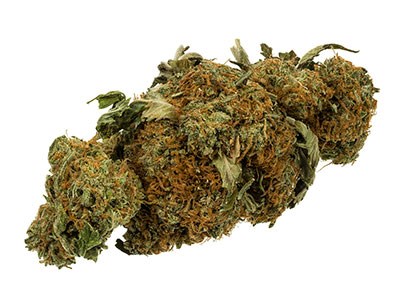 Medical-marijuana35.jpg