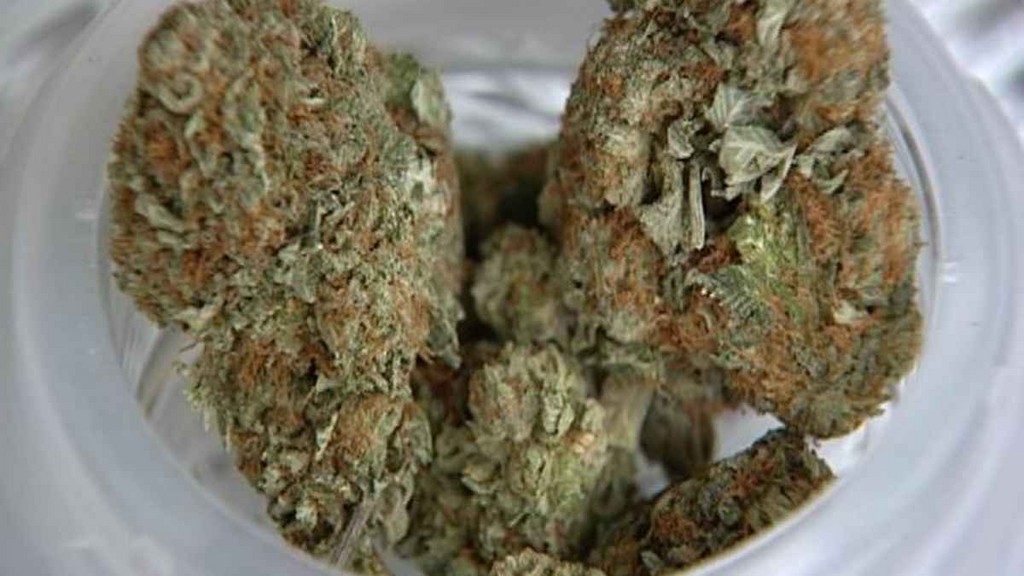 Medical_Cannabis14.jpg