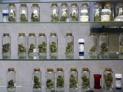 Medical_Cannabis17.jpg