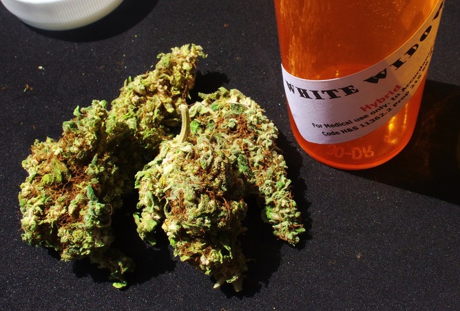 Medical_Cannabis251.jpg