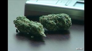 Medical_Cannabis7.jpg