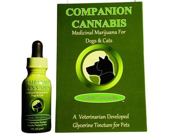 Medical_Cannabis_For_Cats_And_Dogs.jpg