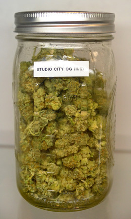 Medical_Cannabis_In_Jar.jpg