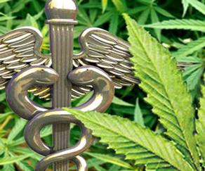 Medical_Cannabis_Leaf.jpg